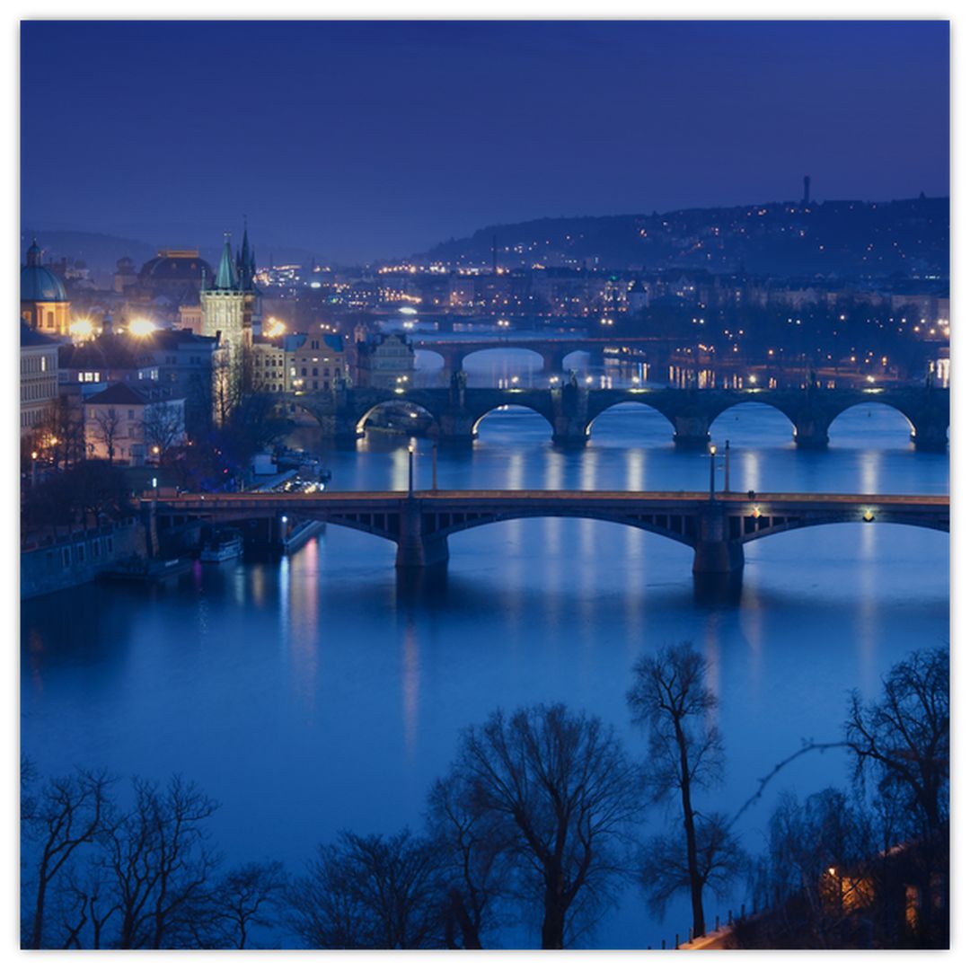 Obraz pražských mostů (V020932V4040)