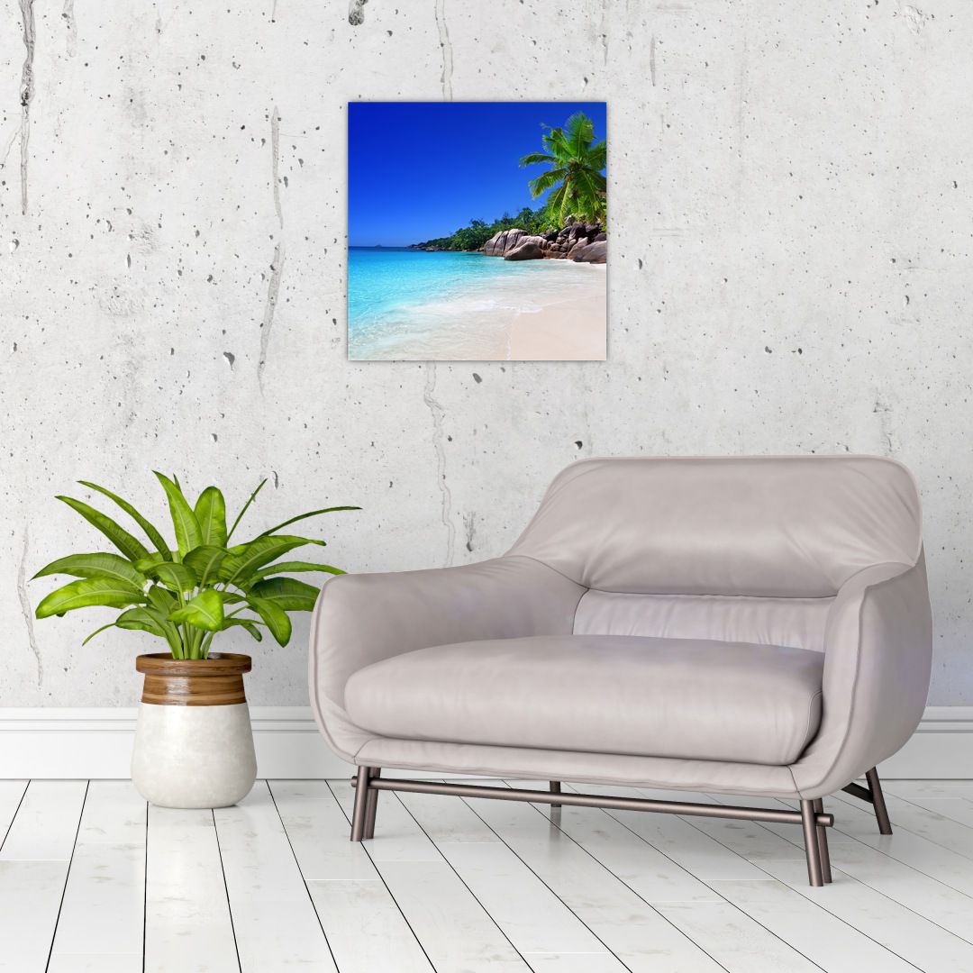 Obraz pláže na Praslin ostrově (V020936V4040)