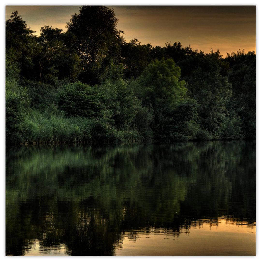 Obraz jezera u lesa (V020974V4040)