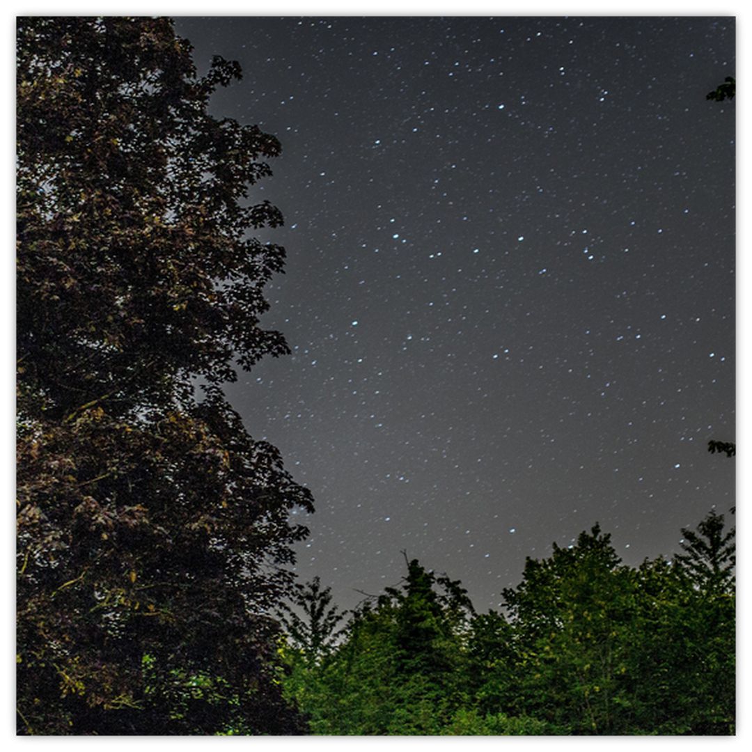 Obraz noční oblohy (V020998V4040)