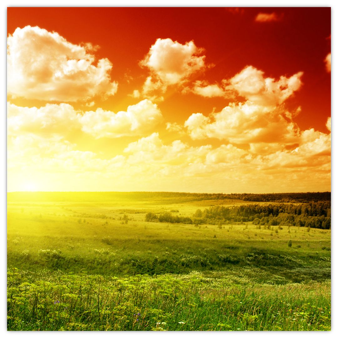 Obraz łąki ze świecącym słońcem (V021174V4040)