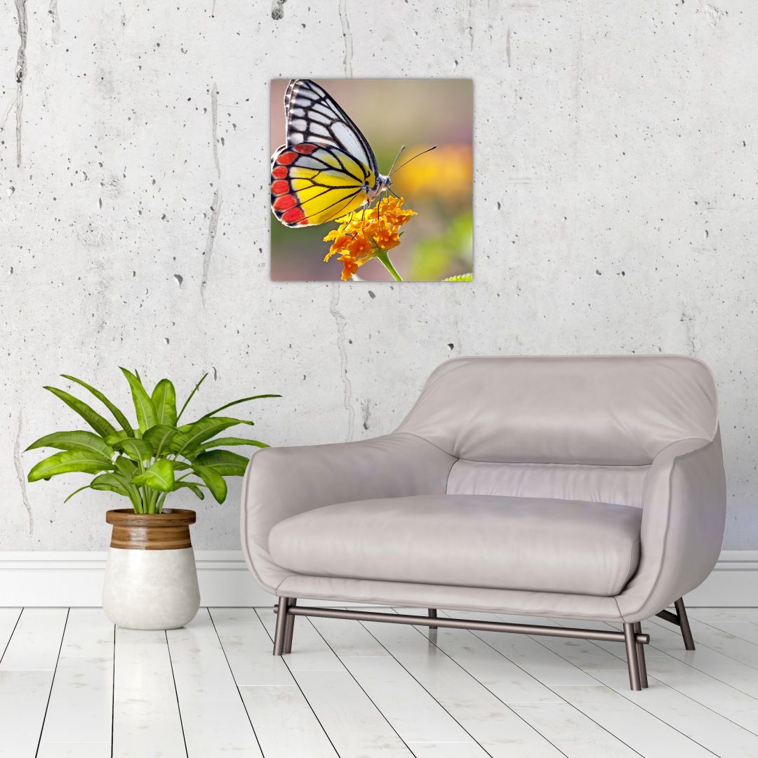 Obraz motýla na květu (V022330V4040)
