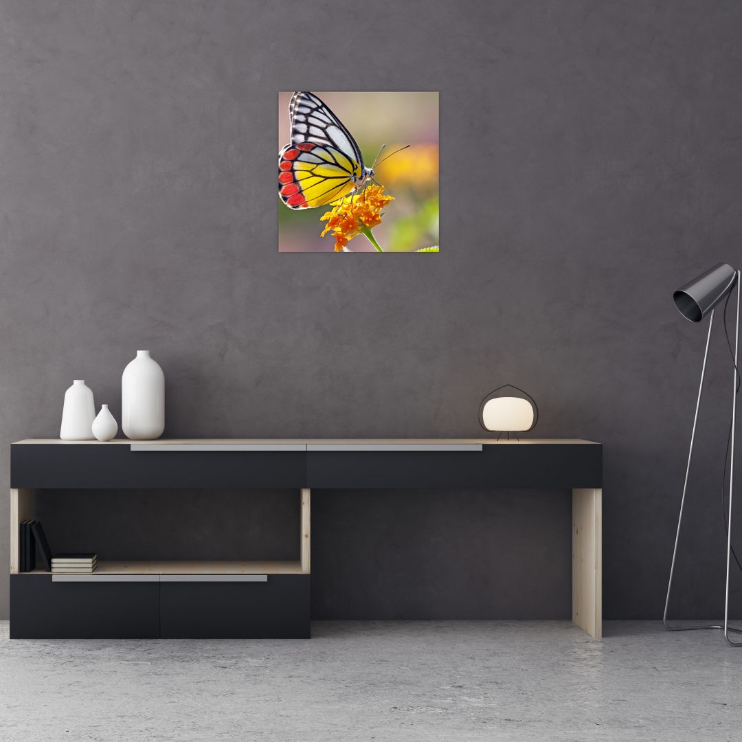 Obraz motýla na květu (V022330V4040)