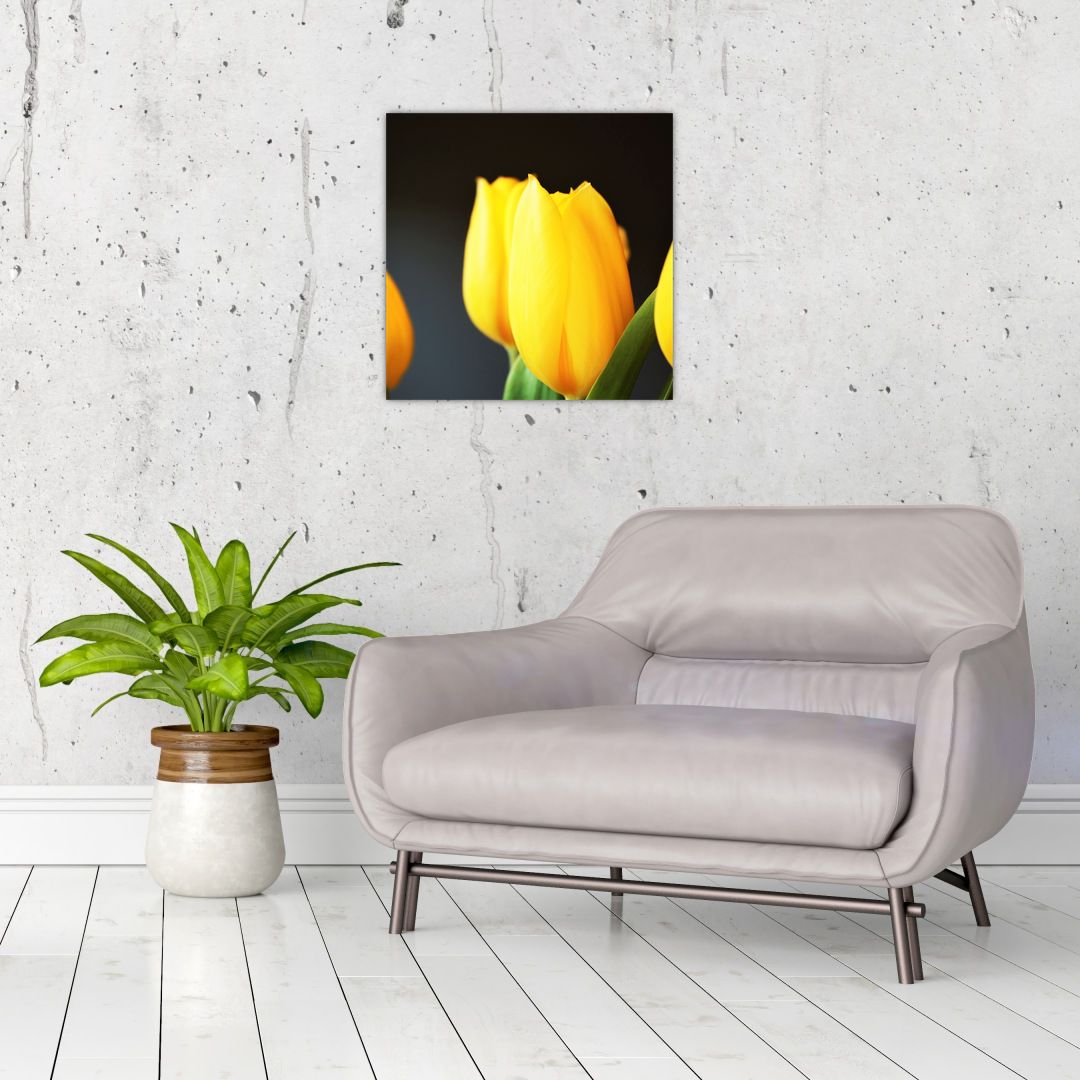 Skleněný obraz tulipánů (V020187V4040GD)