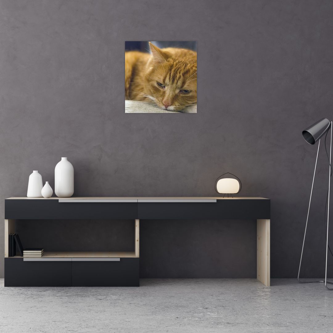 Skleněný obraz kočky (V020192V4040GD)