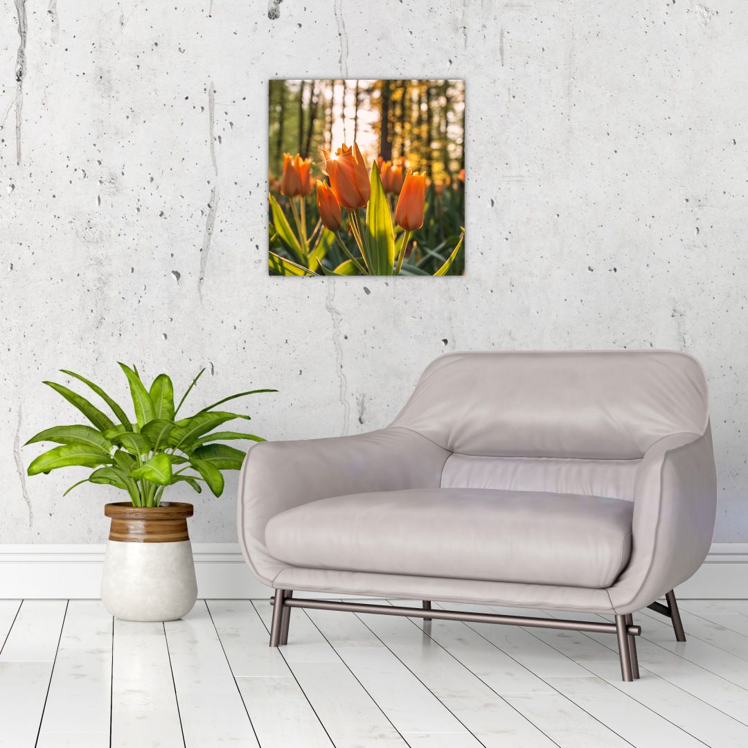 Skleněný obraz - květy tulipánů (V020195V4040GD)