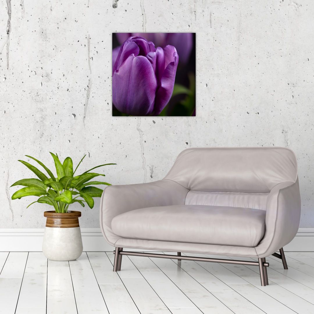 Skleněný obraz květů tulipánů (V020215V4040GD)