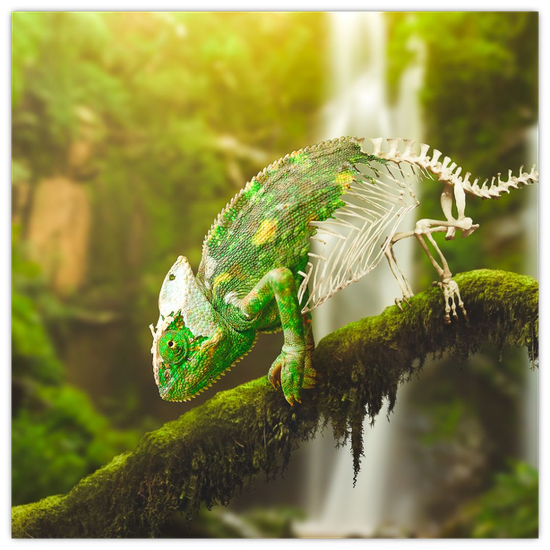 Skleněný obraz chameleona (V020277V4040GD)