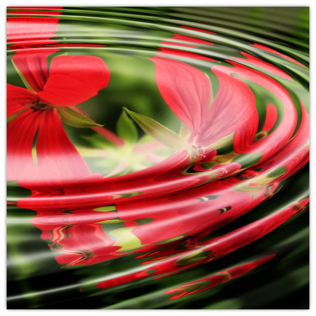 Abstraktní obraz - květy ve vlnách (V020296V4040GD)
