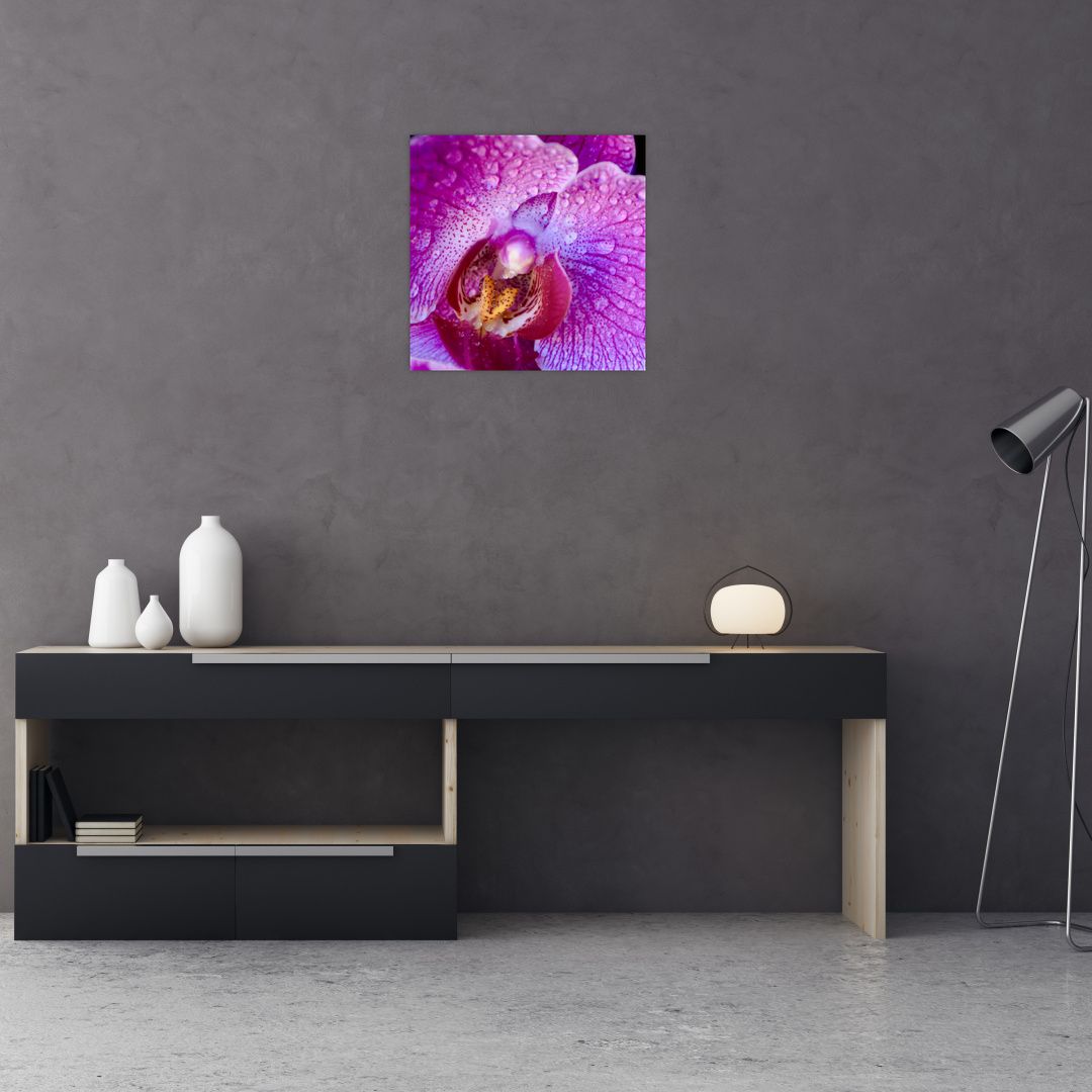 Detailní obraz květu orchideje (V020314V4040GD)