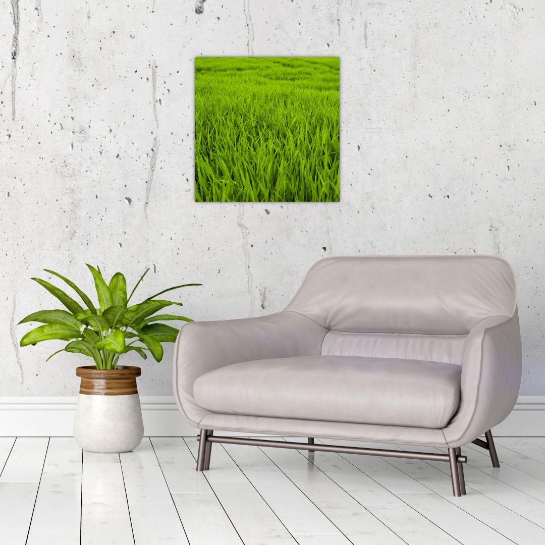 Skleněný obraz trávy (V020340V4040GD)