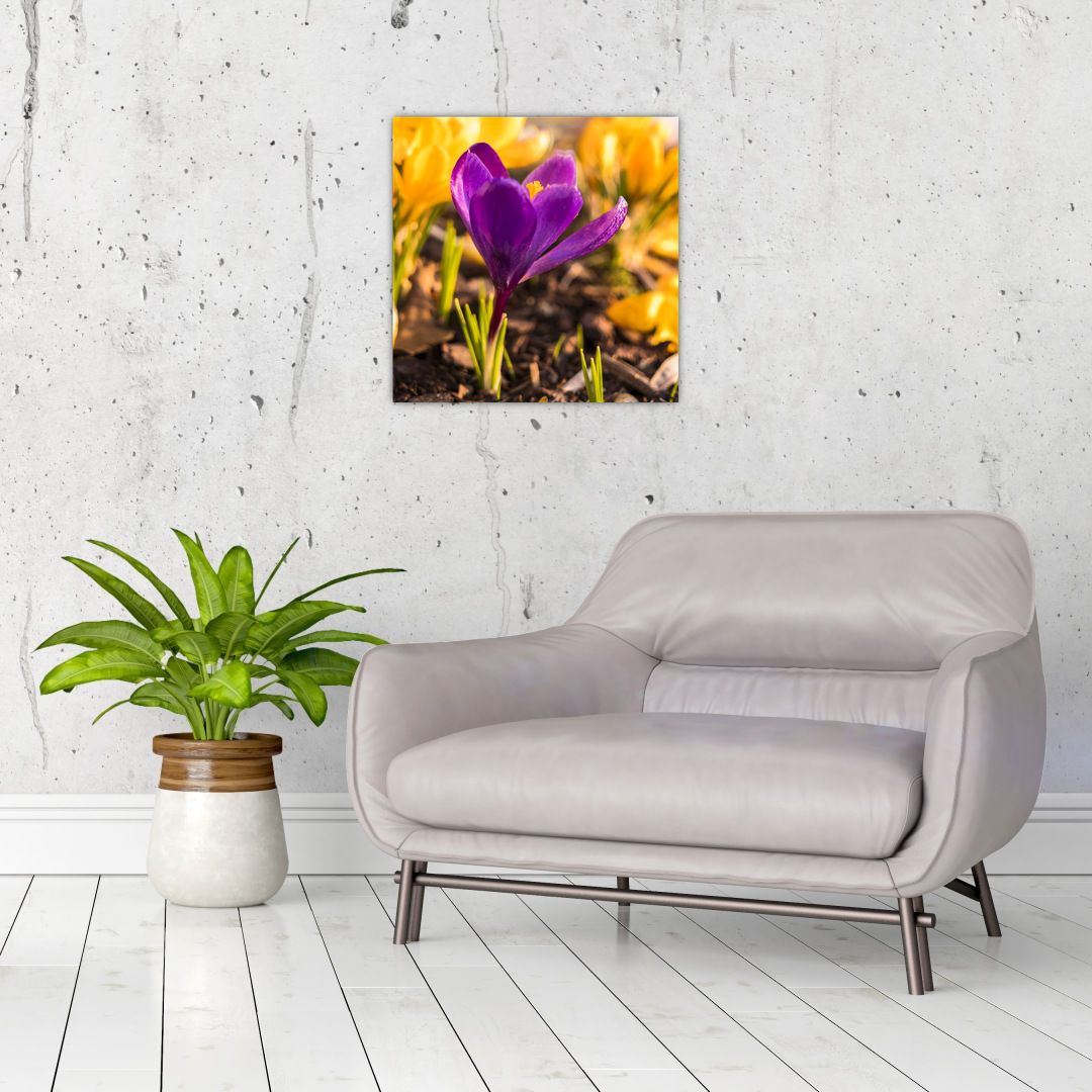 Skleněný obraz fialové květiny (V020341V4040GD)