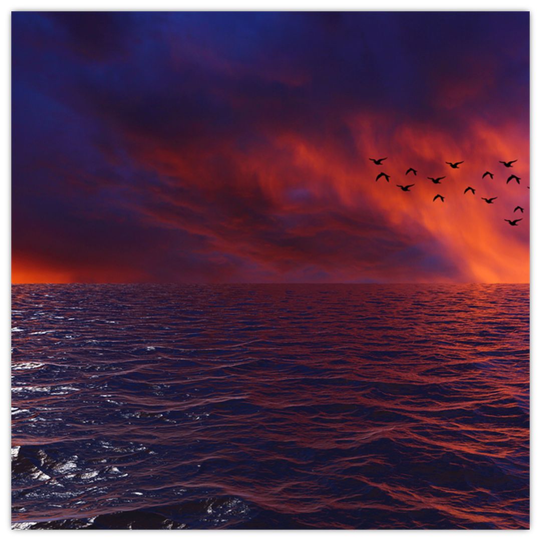 Skleněný obraz moře s ptáky (V020351V4040GD)