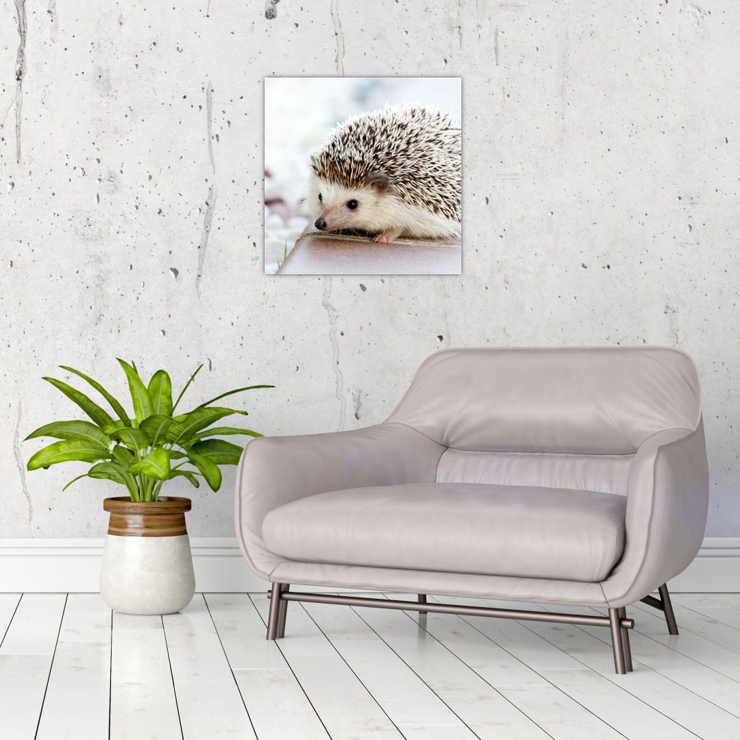 Skleněný obraz ježka (V020368V4040GD)