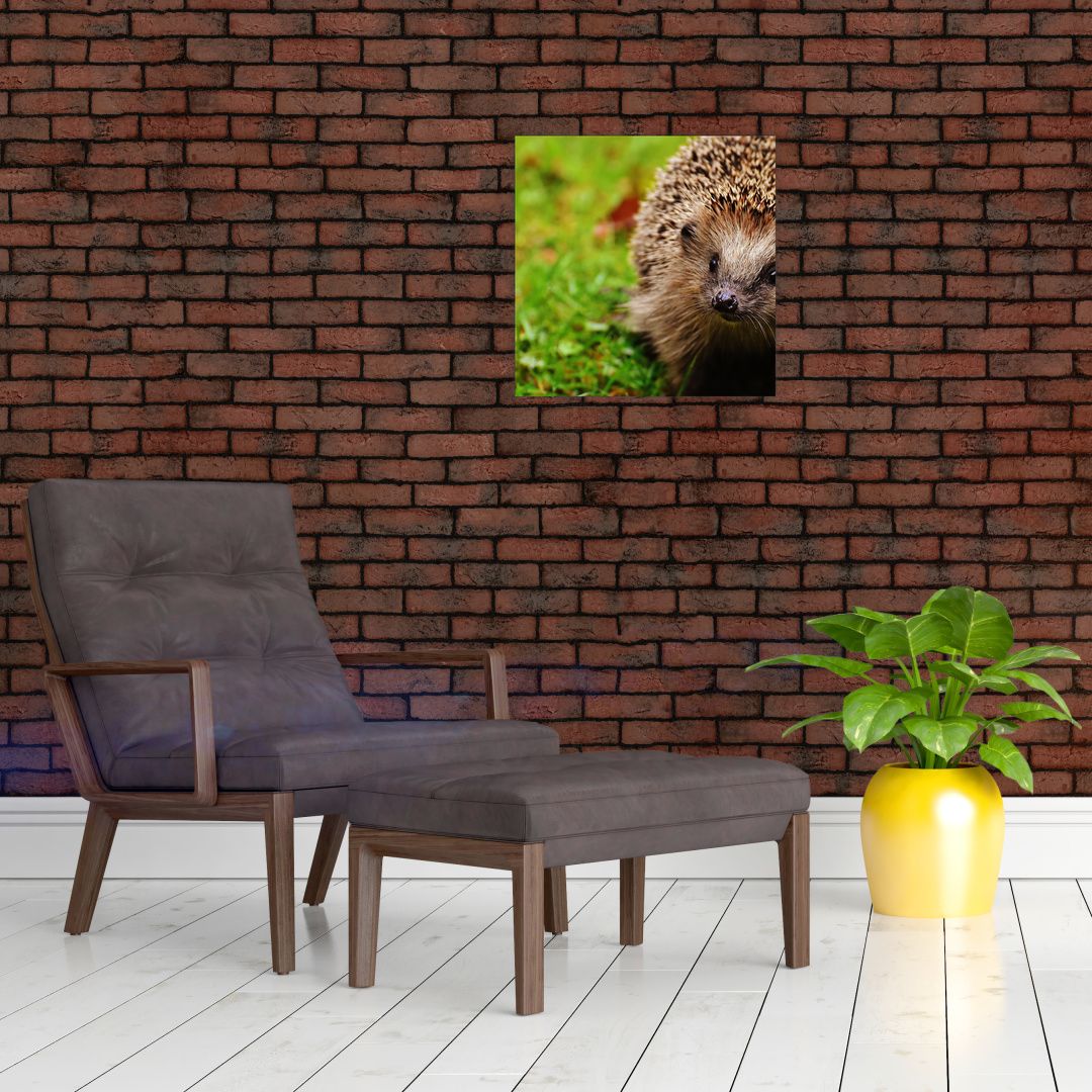 Skleněný obraz ježka (V020459V4040GD)