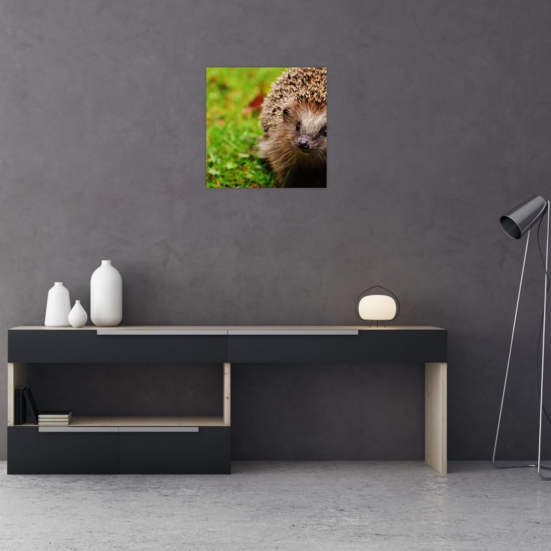 Skleněný obraz ježka (V020459V4040GD)