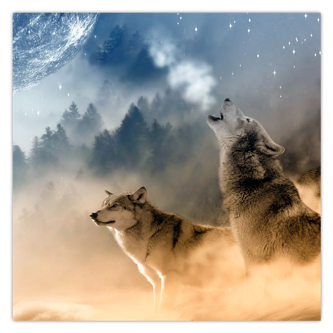 Tablou - lupii urlând la lună (V020509V5050)