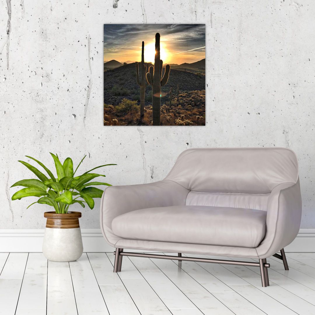 Obraz - kaktusy ve slunci (V020560V5050)