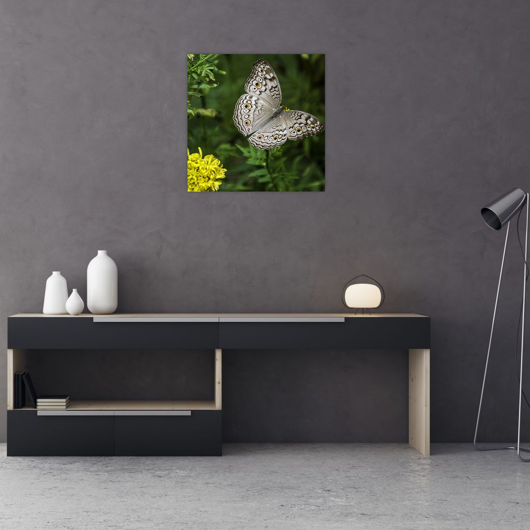 Obraz - bílý motýl (V020576V5050)