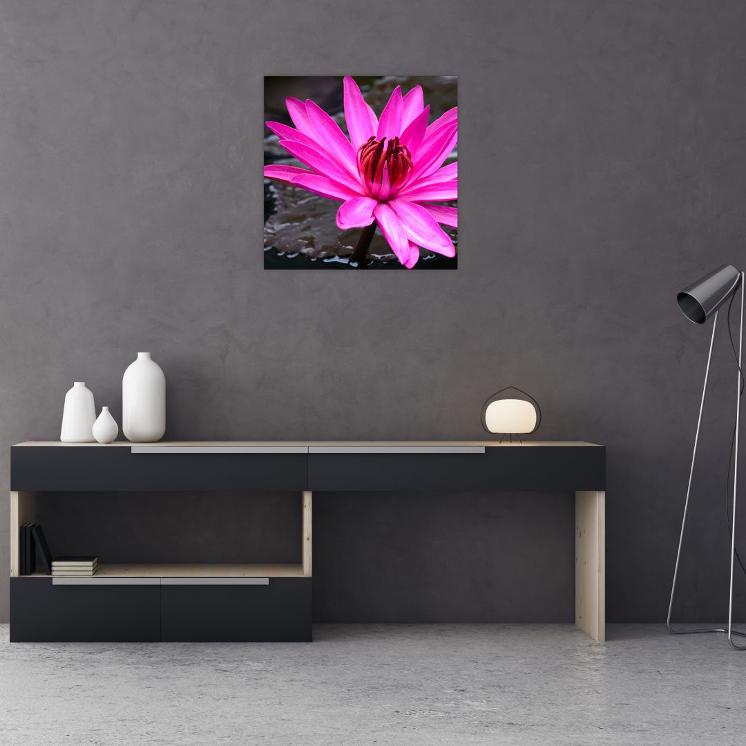 Obraz - růžový květ (V020636V5050)