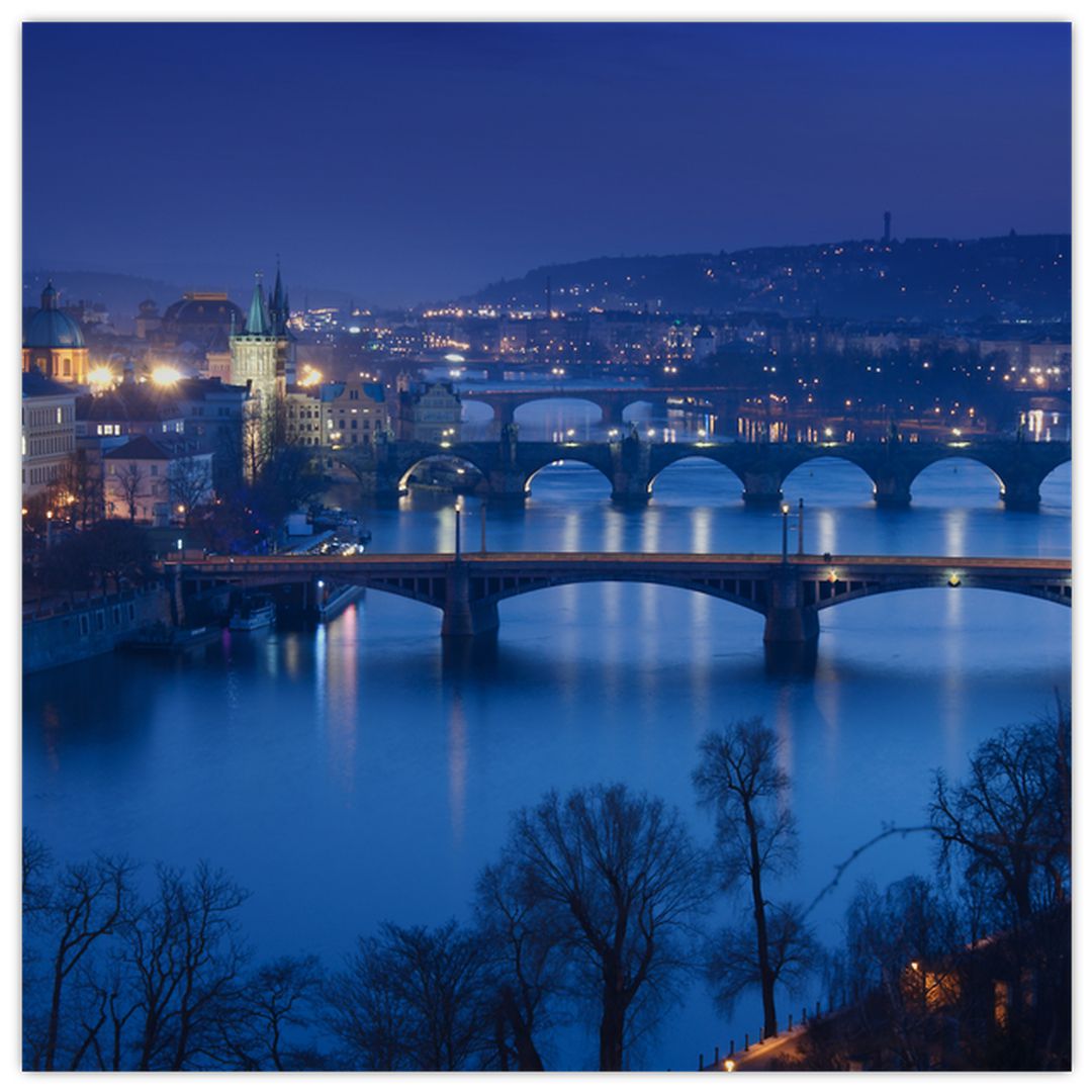 Obraz pražských mostů (V020932V5050)