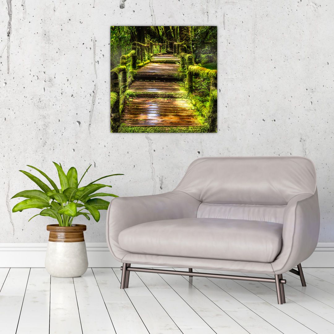 Obraz schodů v deštném pralese (V020941V5050)