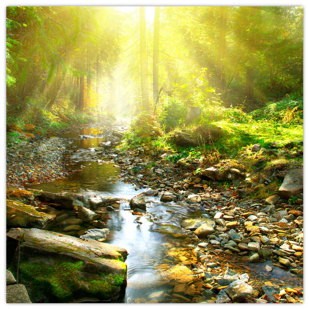 Obraz řeky v zeleném lese (V020942V5050)