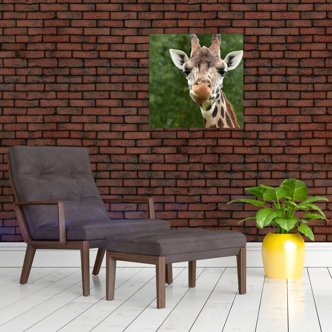 Obraz žirafy (V020969V5050)