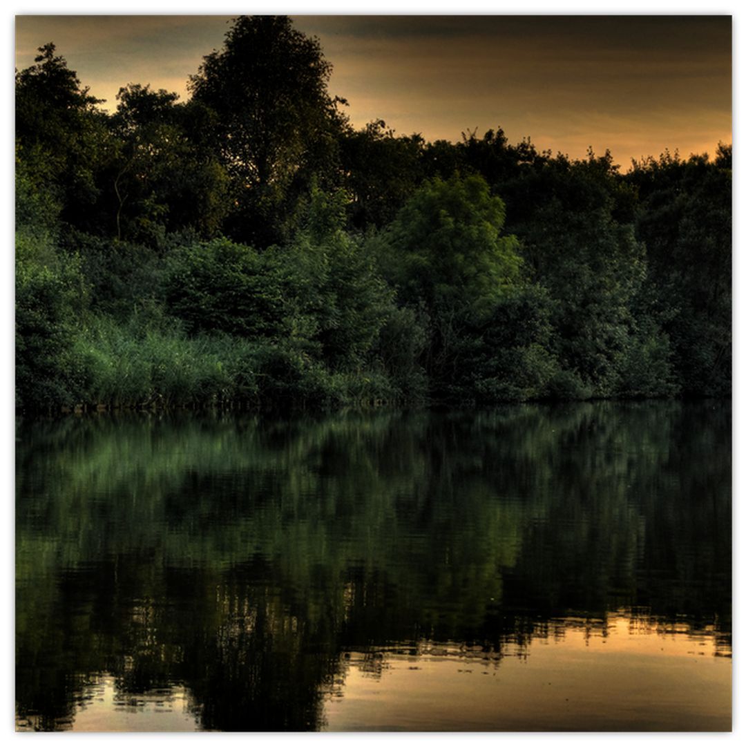 Obraz jezera u lesa (V020974V5050)