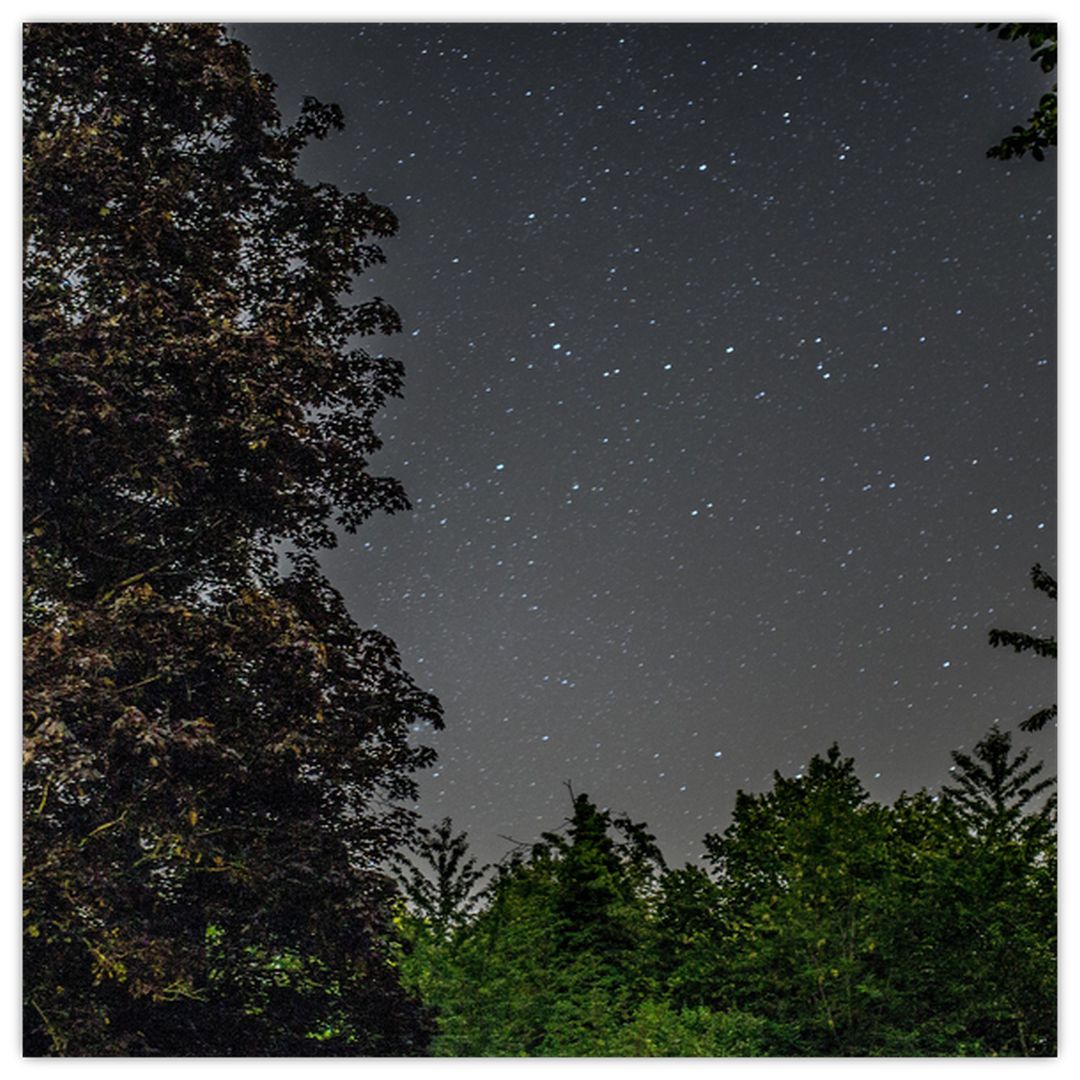 Obraz noční oblohy (V020998V5050)