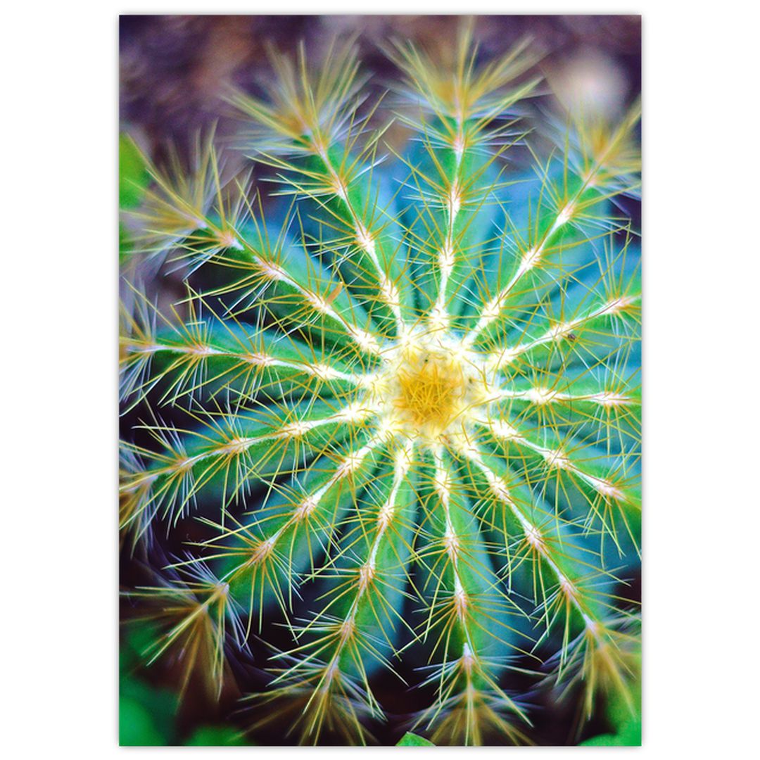 Obraz kaktusu (V020556V5070)