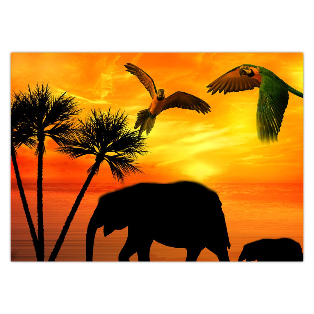 Obraz - papoušci a sloni (V020562V7050)