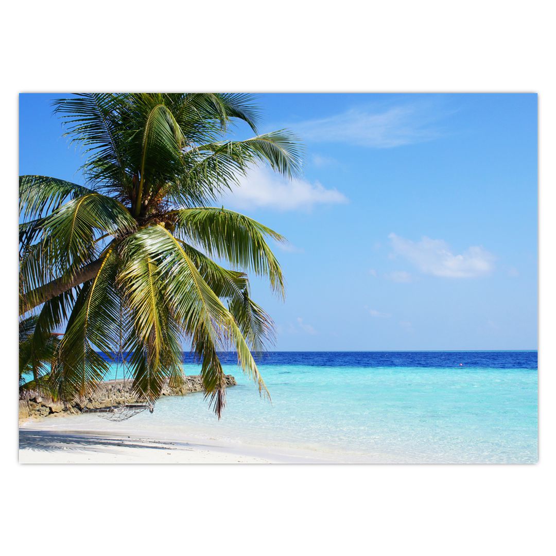 Obraz palmy na pláži (V020612V7050)