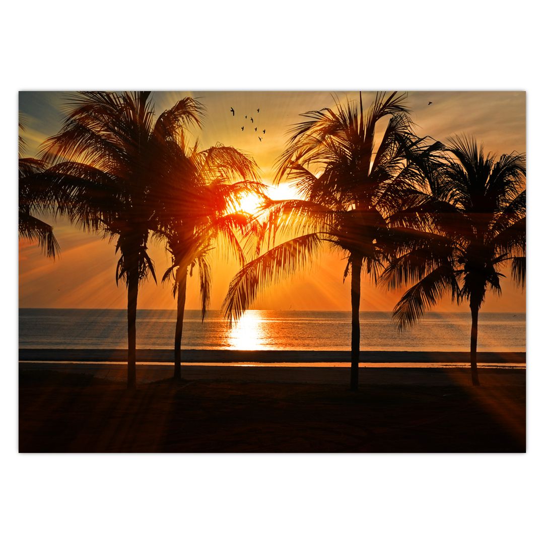 Obraz palmy v západu slunce (V020622V7050)