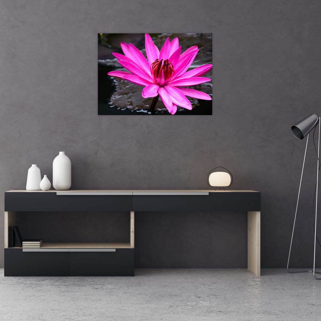 Obraz - růžový květ (V020636V7050)