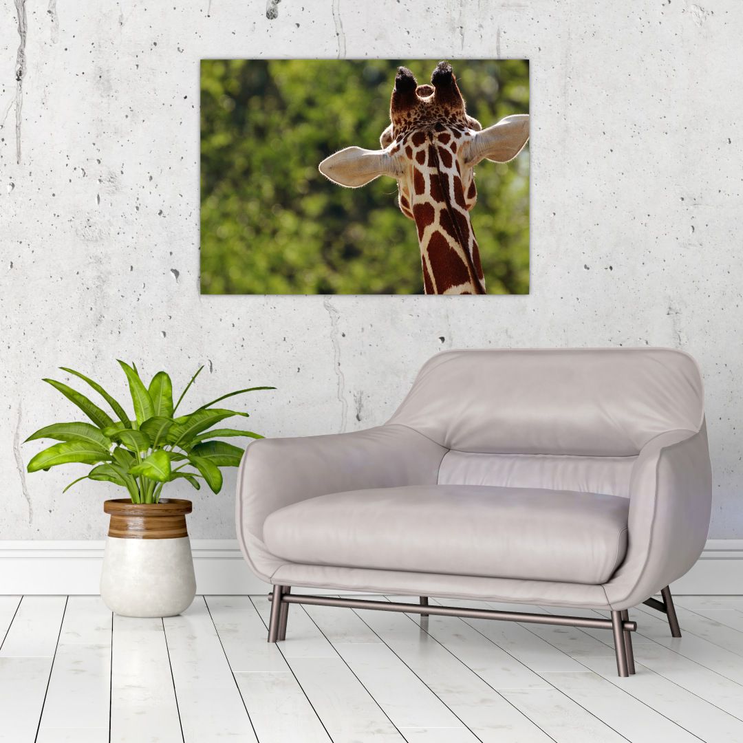 Obraz žirafy zezadu (V020638V7050)