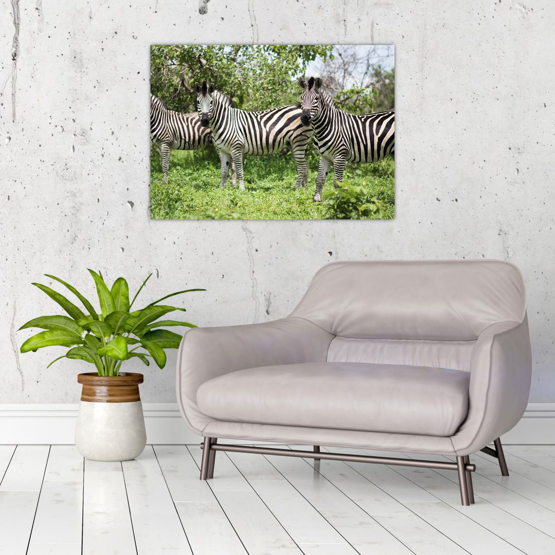 Obraz s zebrami (V020921V7050)