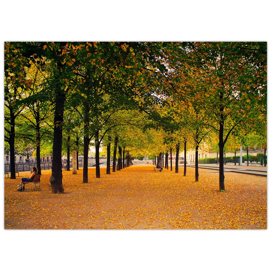 Obraz aleje podzimních stromů (V020953V7050)