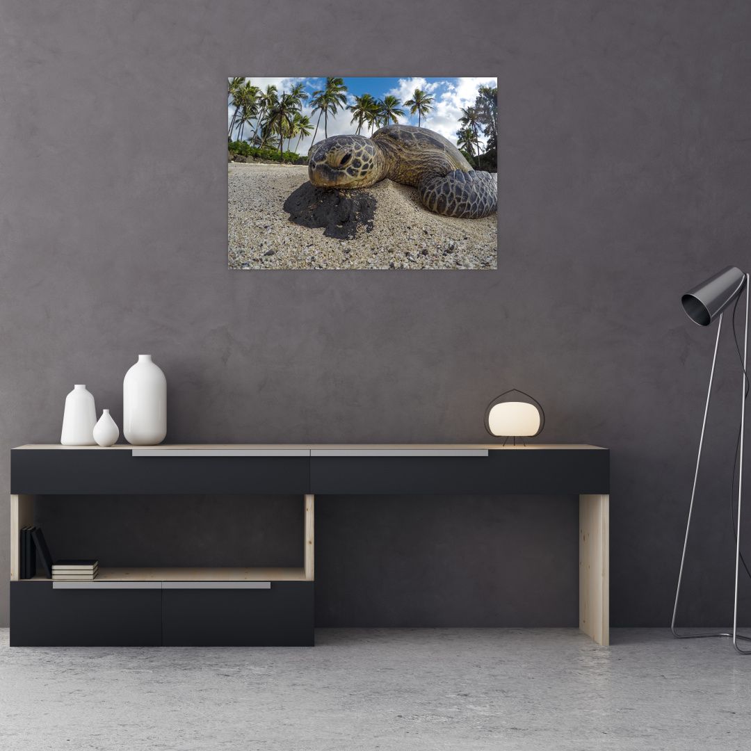 Obraz želvy (V020992V7050)