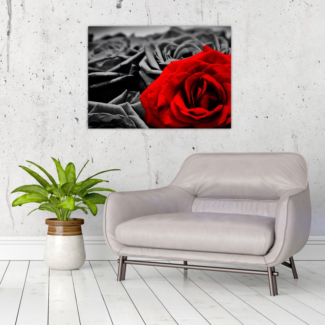 Tablou - Flori de trandafir (V021975V7050)