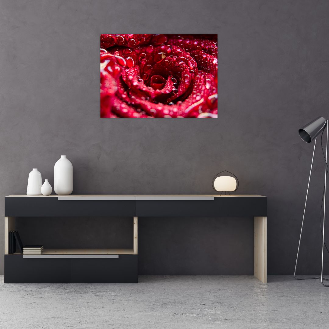 Skleněný obraz květu červené růže (V020009V7050GD)