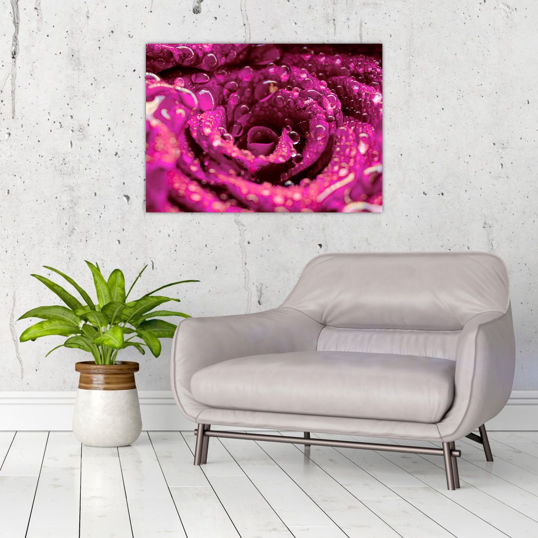 Skleněný obraz růžového květu růže (V020056V7050GD)