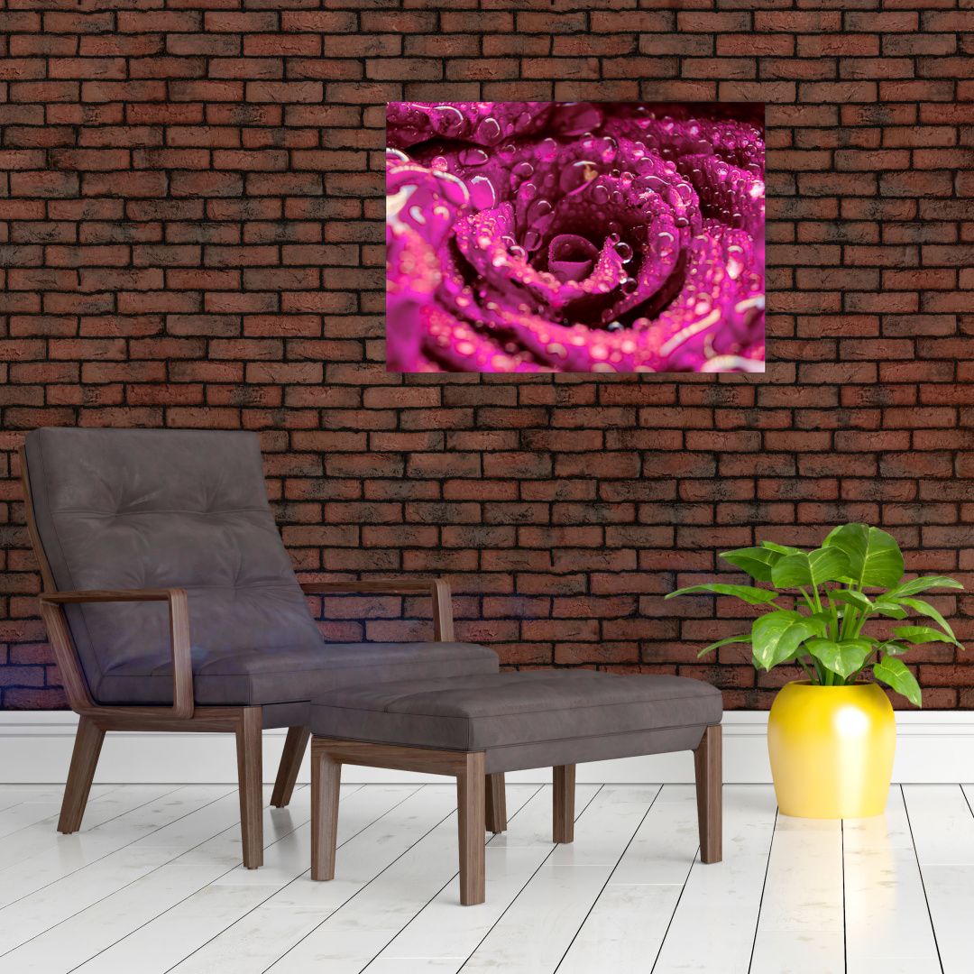 Skleněný obraz růžového květu růže (V020056V7050GD)