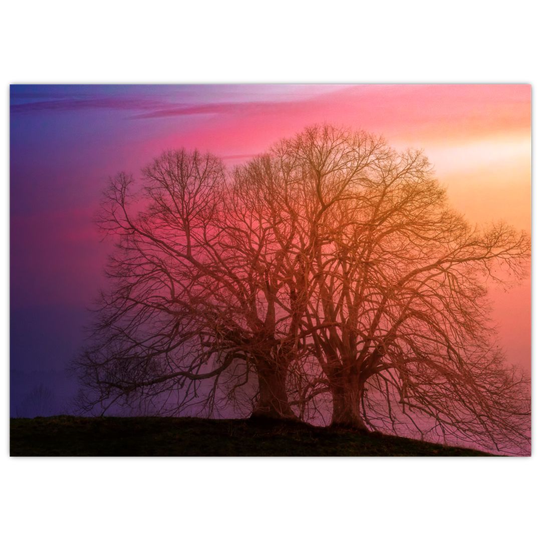Skleněný obraz stromů v mlze (V020088V7050GD)