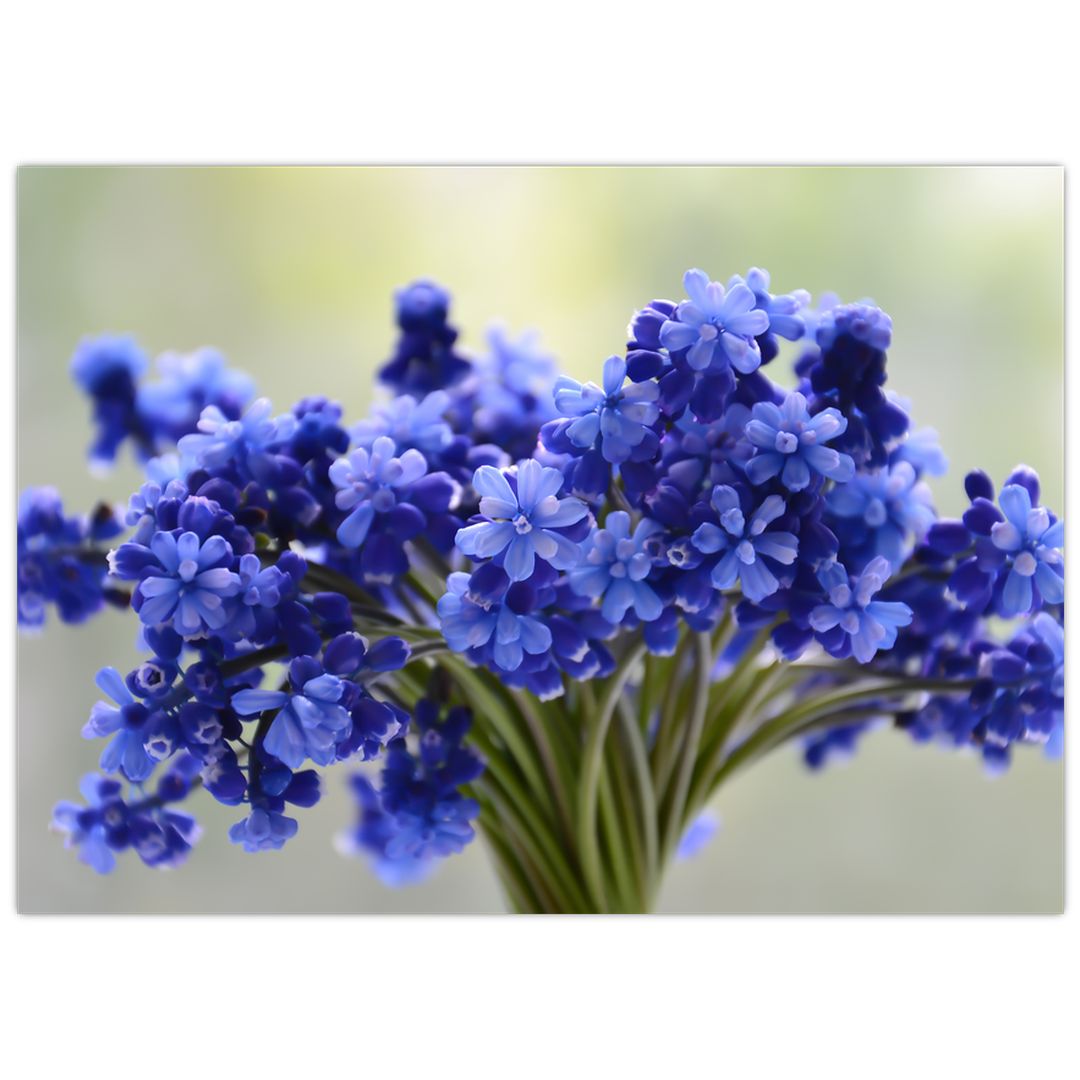 Skleněný obraz kytice modrých květů (V020175V7050GD)