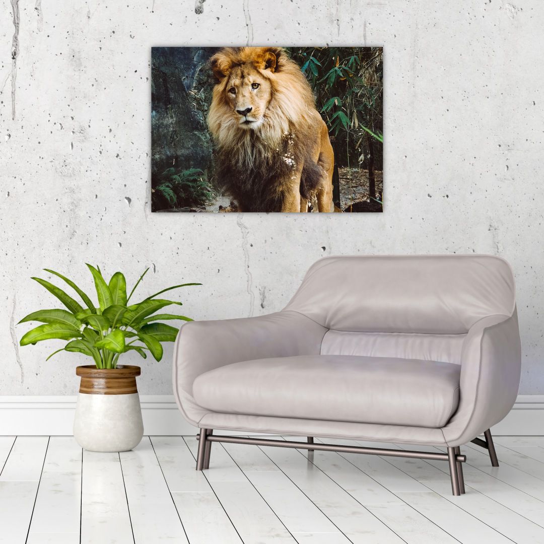 Skleněný obraz lva v přírodě (V020176V7050GD)