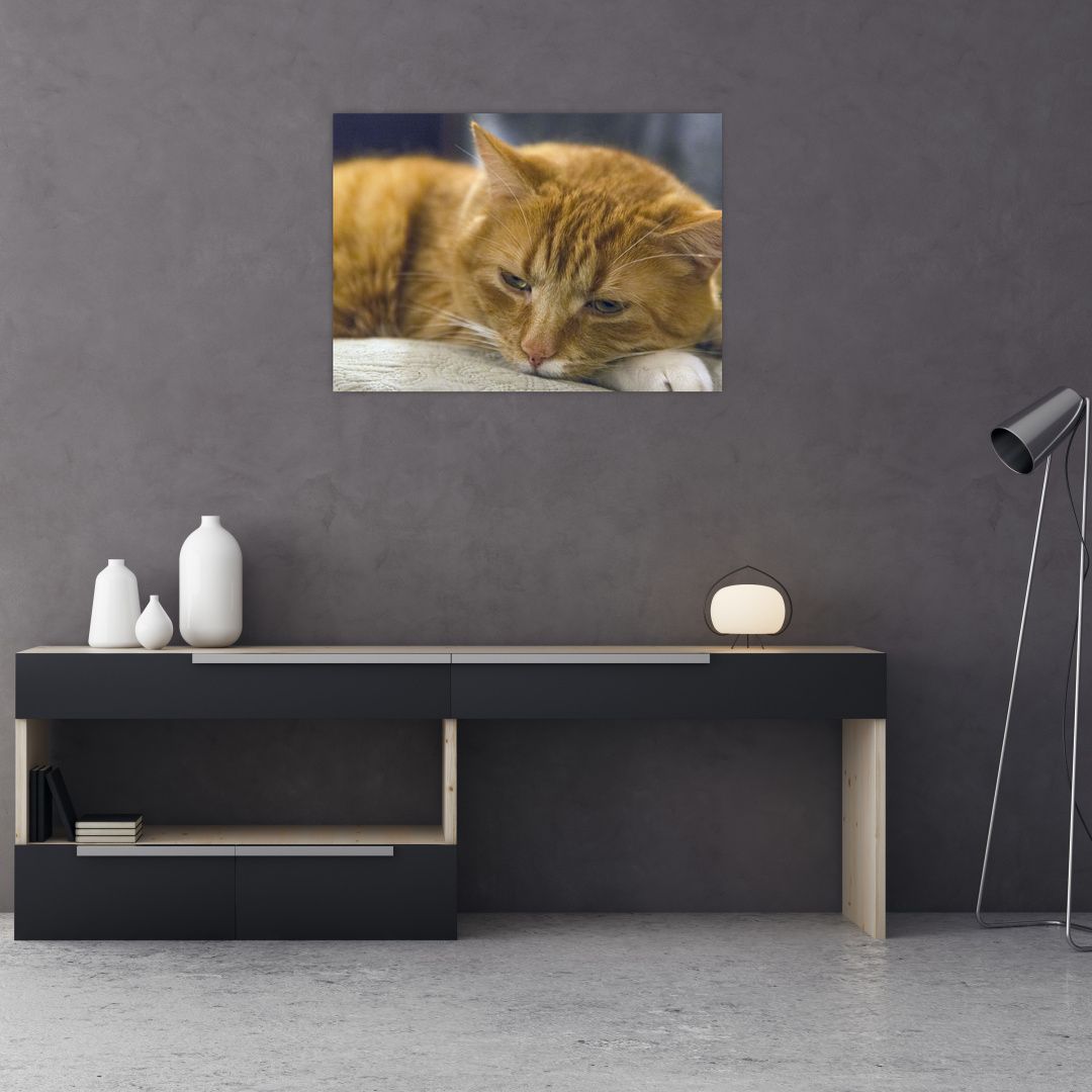 Skleněný obraz kočky (V020192V7050GD)