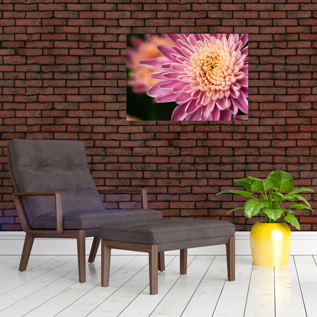 Detailní obraz květu (V020238V7050GD)