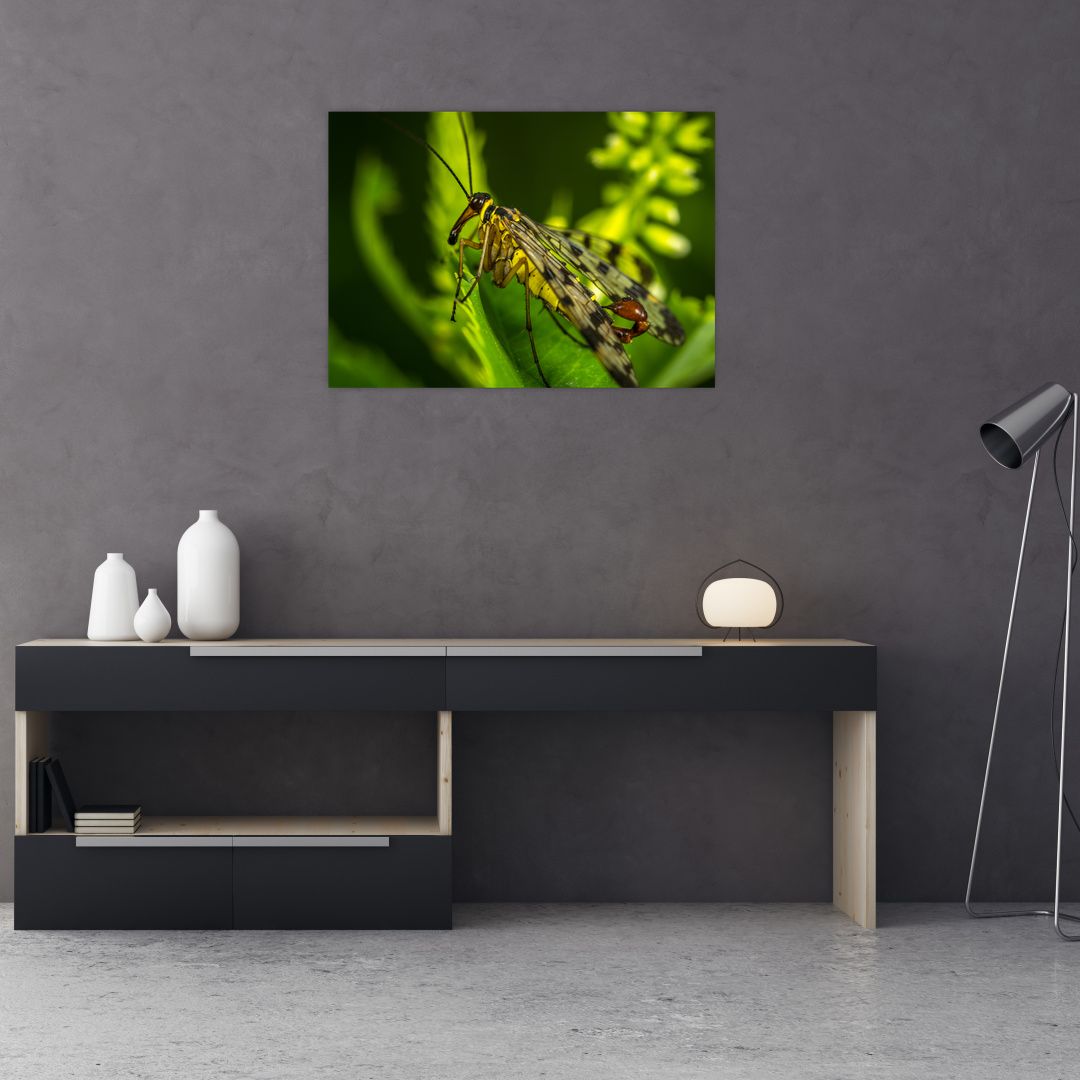 Skleněný obraz hmyzu (V020326V7050GD)