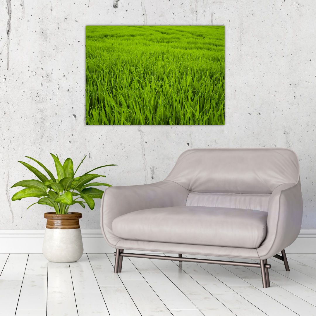 Skleněný obraz trávy (V020340V7050GD)